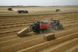 kuhn-lsb-staciakampiu-rysuliu-presai_src_2-188e6cea3a3f5d14f5415e364365b49c.jpg