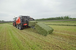 kuhn-lsb-staciakampiu-rysuliu-presai_src_5-2f5d29e0b82b845032e55309ef1f948e.jpg